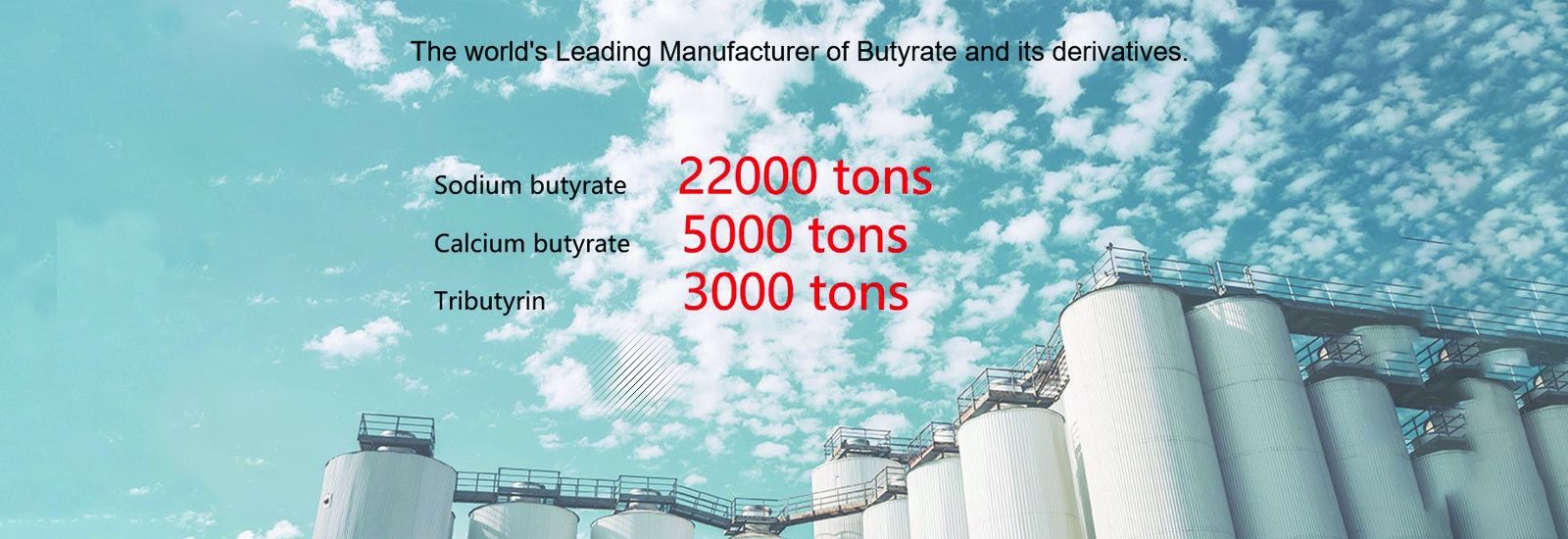 Polvere del butirrato del sodio