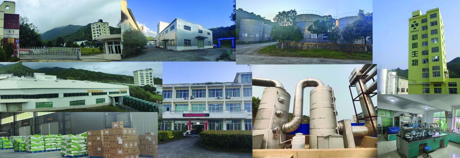 Butirrato a catena corta degli acidi grassi