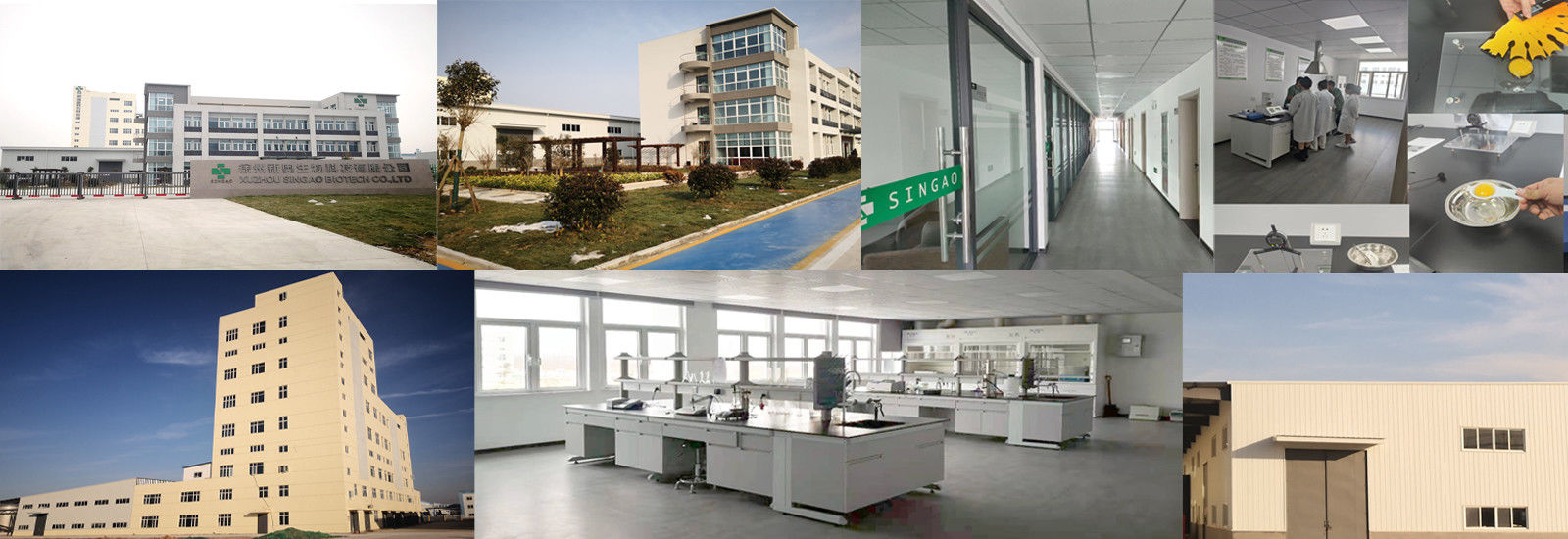 Butirrato rivestito del sodio