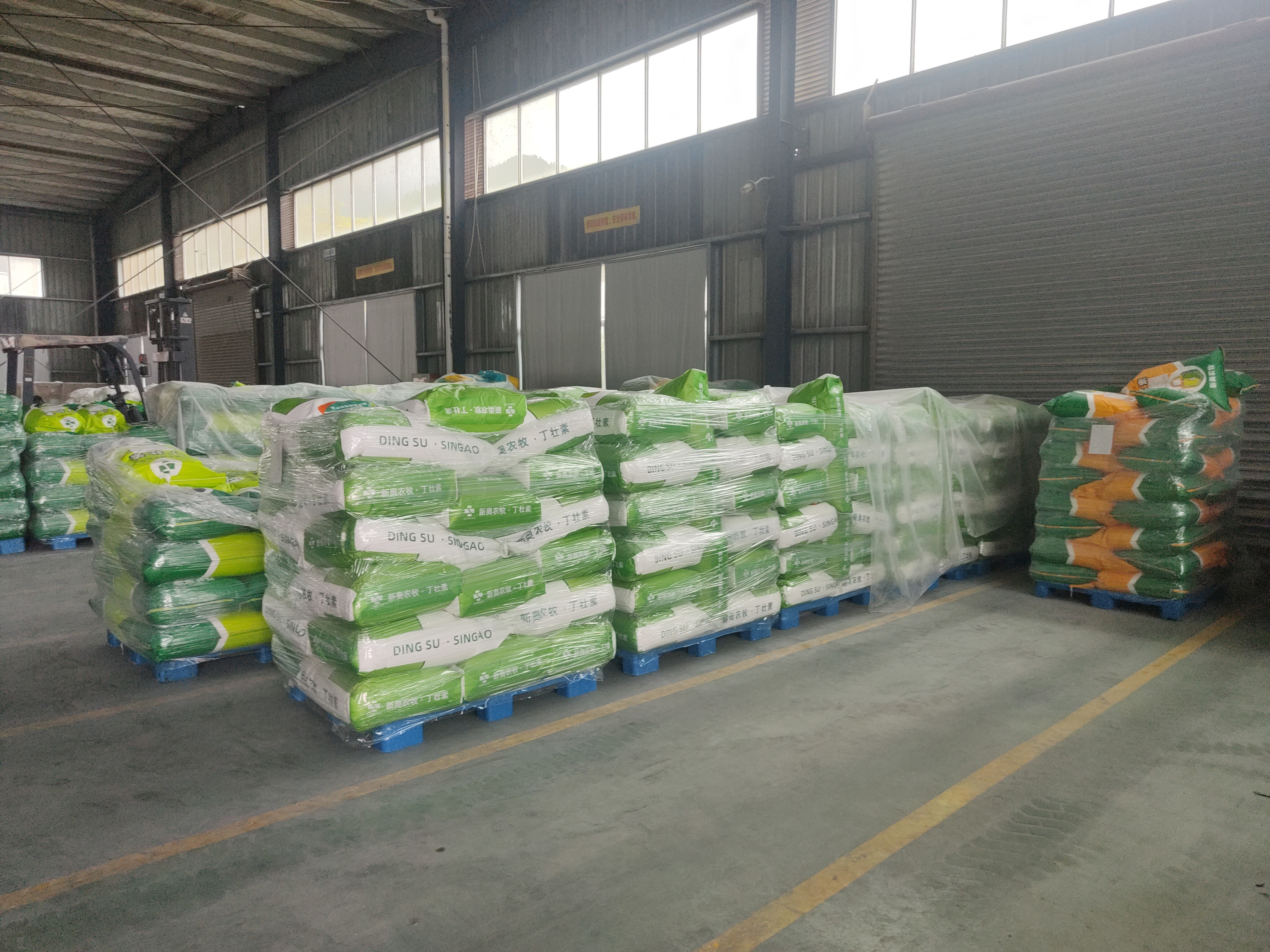 Singao (Xiamen) Agribusiness Development Co., Ltd. linea di produzione in fabbrica