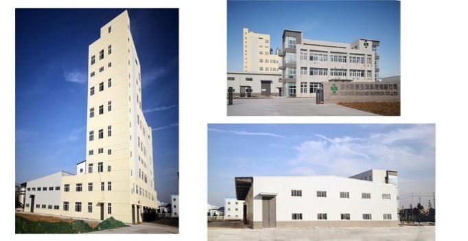 Singao (Xiamen) Agribusiness Development Co., Ltd. linea di produzione in fabbrica