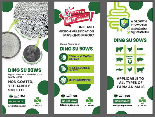 Butirato di sodio inodore non rivestito 90% per l'acqua