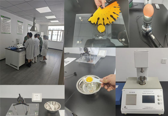 Butirrato microincapsulato 90% del sodio del granello di forma della palla per gli animali domestici