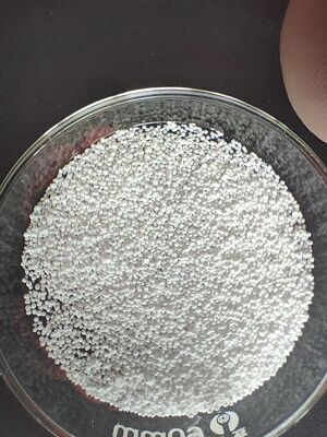 Sodio Butirrato Rivestito per la Promozione della Crescita Inodore 50% Minimo