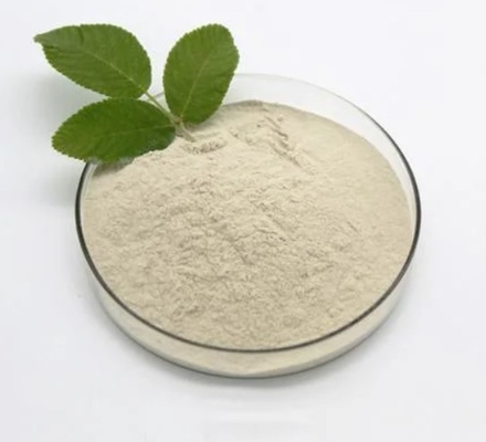 Il butirrato del sodio di bacillus subtilis 90% C4H7O2Na spolverizza CAS 156-54-7
