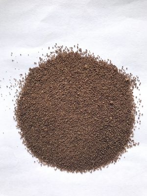 probiotico Clostridium butyricum