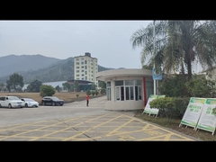 FABBRICA DI SINGAO LONGYAN